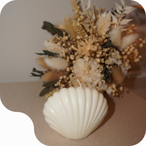 SEASHELL