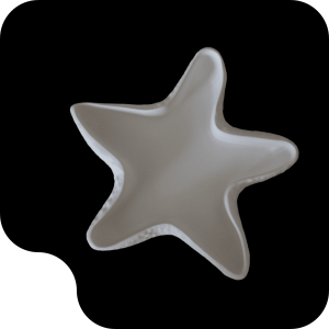 SEA STAR
